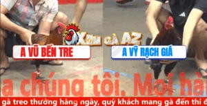 Trận 28 CPC5 8/11/2025 - Cánh Rạch Giá Chơi Ngông Và Nhận Cái Kết Đắng