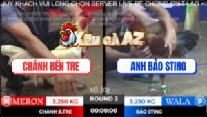 Trận 2 Ton Hon 2/11/2025 - Phèn Cọp Idol Bảo Sting Đâm Úa Chạy Bay Bồ