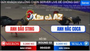 Trận 53 Ton Hon 2/11/2025 - Chuối Đen Anh Bảo Sting Đâm Như Giang Hồ
