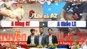 Trận 11 CPC5 25/11/2025