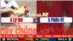 Trận 19 CPC5 3/11/2025