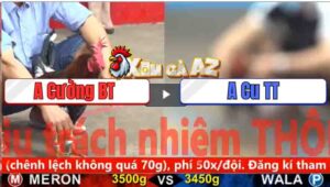 Trận 21 CPC5 3/11/2025