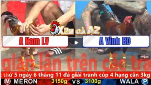 Trận 8 CPC5 3/11/2025