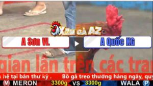 Trận 8 CPC5 5/11/2025