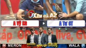 Trận 25 CPC5 27/12/2025