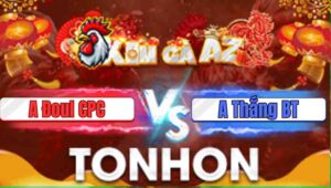 Trận 2 Tonhon 31/12/2025