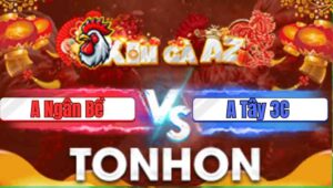 Trận 4 Tonhon 31/12/2025