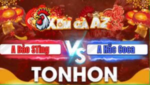 Trận 12 Tonhon 31/12/2025