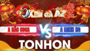 Trận 28 Tonhon 31/12/2205