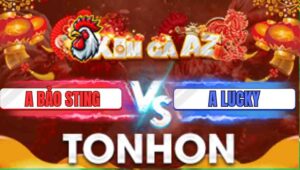 Trận 35 Tonhon 31/12/2205