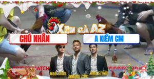 Trận 17 Bồ Xà Xía 23/12/2025 - Kiểm Cà Mau Hạ Chú Nhân Một Cách Tuyệt Đối