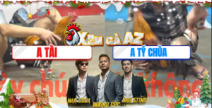 Trận 43 CPC5 6/12/2025 - Tý Chùa Ở Lại Cả 3 Con Tại Giải Hôm Nay