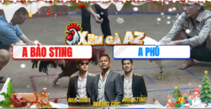 Trận 27 Bồ Xà Xía 19/12/2025 - Bảo Sting Đưa Khét Vào Nhấp Mấy Cái Hạ Đối Thủ