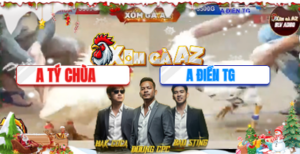 Trận 30 Bồ Tonhon 24/12/2025 - Tý Chùa Hừng Tới Mức Gà Dở Cũng Chuyển Thành Gà Hay