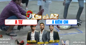 Trận 24 Bồ Xà Xía 29/12/2025 - Kiểm Cà Mau Tiếp Tục Thể Hiện Bản Lĩnh Của Mình