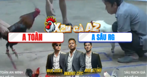 Trận 15 Bồ Xà Xía 29/12/2025 - Gà Anh Sáu Rạch Giá Đâm Gà Anh Toàn Té Xe