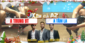 Trận 25 Bồ CPC4 16/12/2025 - Cú Cọp Tâm Long An Nhẹ Hơn 8 Chấm Giết Đối Thủ 3 Chân