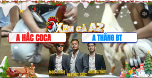 Trận 52 Bồ Tonhon 10/12/2025 - Thắng Bến Tre Đưa Bảo Sting Phục Thù Hắc Coca