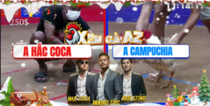 Trận 2 Bồ Dinh Bà 21/12/2025 - Trận Duy Nhất Hắc Coca Thua Tại Dinh Bà