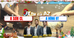 Trận 28 Bồ CPC4 11/12/2025 - Sơn Cao Lãnh Đưa Cọp Vào Đá Cánh Bến Tre Nằm Đống