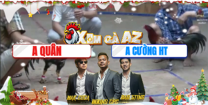 Trận 41 Bồ Xà Xía 7/12/2025 - Bảo Sting Tiếp Tục Ôm Cọp Vào Chồng Độ Gặp Anh Kiểm