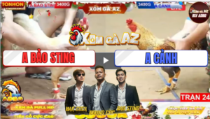 Trận 24 Tonhon 19/12/2025