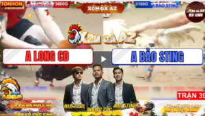 Trận 39 Tonhon 19/12/2025