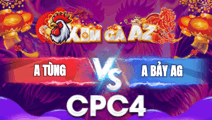 Trận 15 Bồ CPC4 3/1/2026 - Bảy An Giang Chấp Hơn 4 Chấm Gà Và Cái Kết