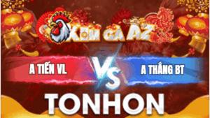 Trận 16 Bồ Tonhon 5/1/2026 - Thắng Bến Tre Ăn Độ Gà Xổ 100 Triệu Quá Hay
