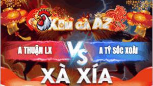 Trận 18 Bồ Xà Xía 5/1/2026 - Khét Anh Thuận Đâm Gà Úa Tắt Thở Trong Tích Tắc