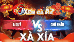 Trận 22 Bồ Xà Xía 17/1/2026 - Chú Nhân Chấp Anh Quý Lên Tới 1 Ký 4 Và Cái Kết