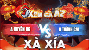 Trận 5 Bồ Xà Xía 5/1/2026 - Xuyên Rạch Giá Tiễn Đưa Thành Cà Mau Về Đất Mũi