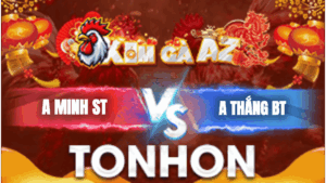Trận 8 Bồ Tonhon 15/1/2026 - Minh Lý Sóc Trăng Gặp Thắng Bến Tre Và Cái Kết
