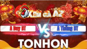 Trận 28 Tonhon 7/1/2026