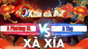 Trận 12 Xà Xía 12/1/2026