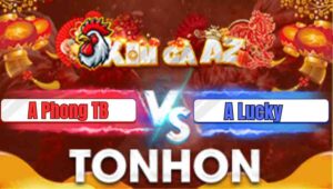 Ga Rung 3 Recovered Recovered Recovered Recovered Recovered Recovered Recovered Recovered Recovered Recovered Recovered Recovered Recovered Recovered Recovered 222