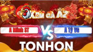 Trận 15 Tonhon 7/1/2026