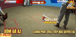 Trận 5 Bồ Thường Phước 17/1/2026 - Bảo Sting Xổ 200 Triệu Gay Cấn Và Cái Kết