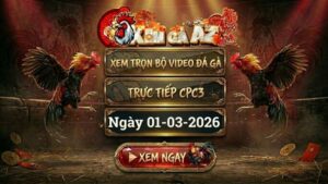 XOMGAAZ Xem Full Video Da Ga CPC3 Ngay 0103022026