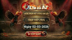 XOMGAAZ Xem Full Video Da Ga CPC4 Ngay 0203022026